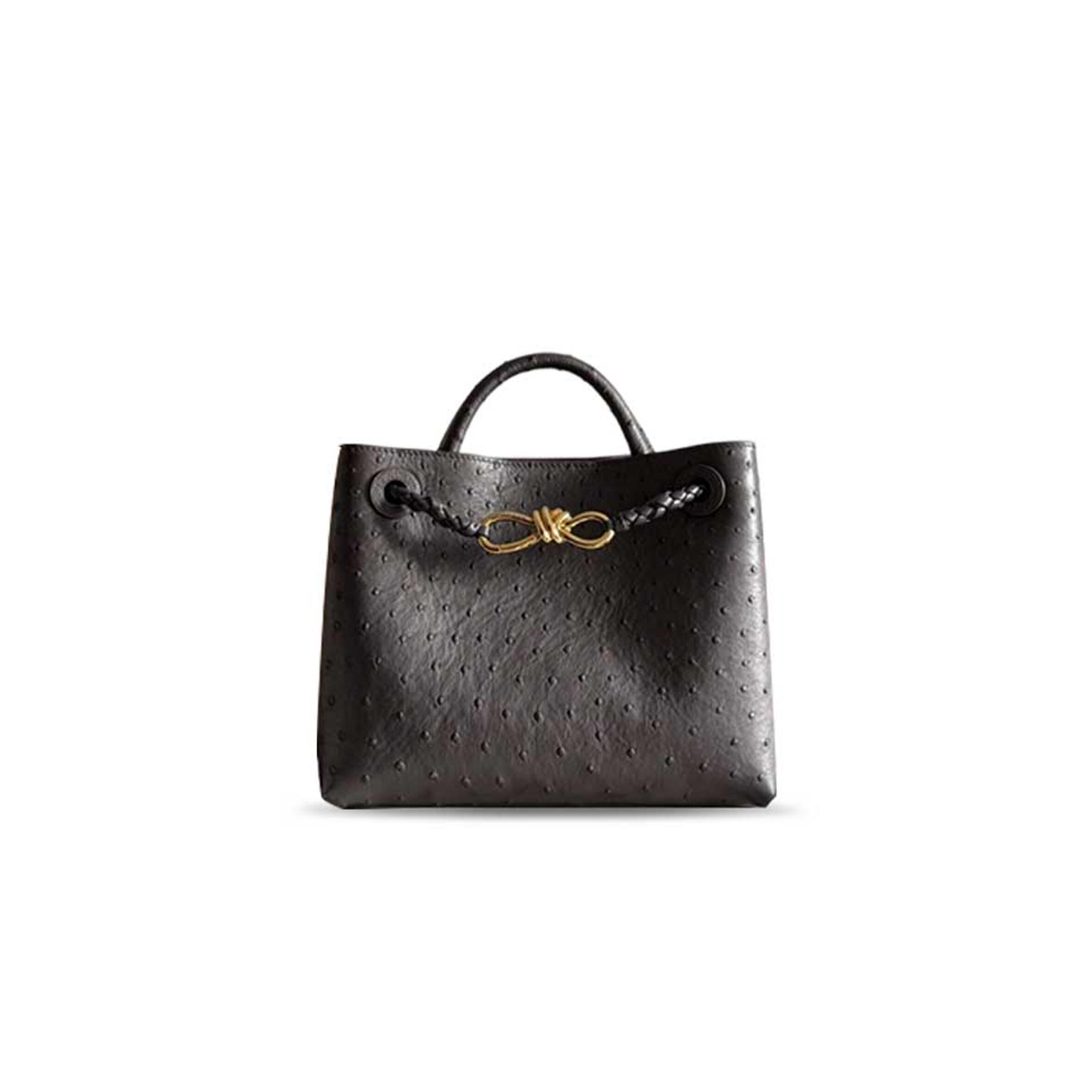 BOTTEGA VENETA SMALL ANDIAMO 805231 (25*20*10cm)